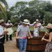 Bodegas Pomar invita a descubrir la magia de los viñedos venezolanos en la Vendimia 2024