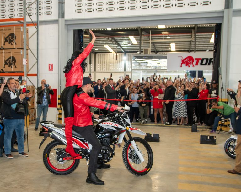 Imagen toro 5