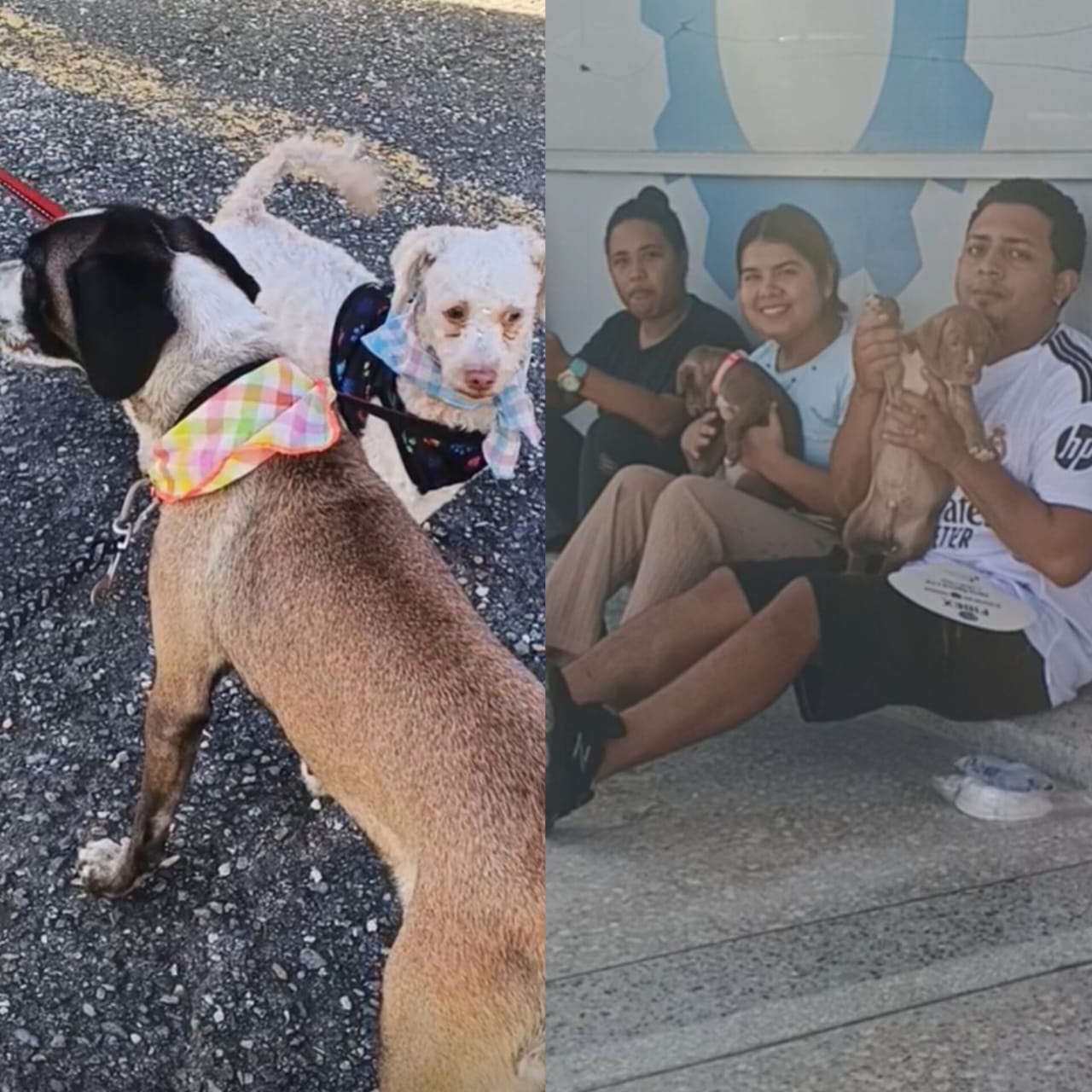 Imagen de WhatsApp 2025-09-01 a las 09.31.14_519096e9