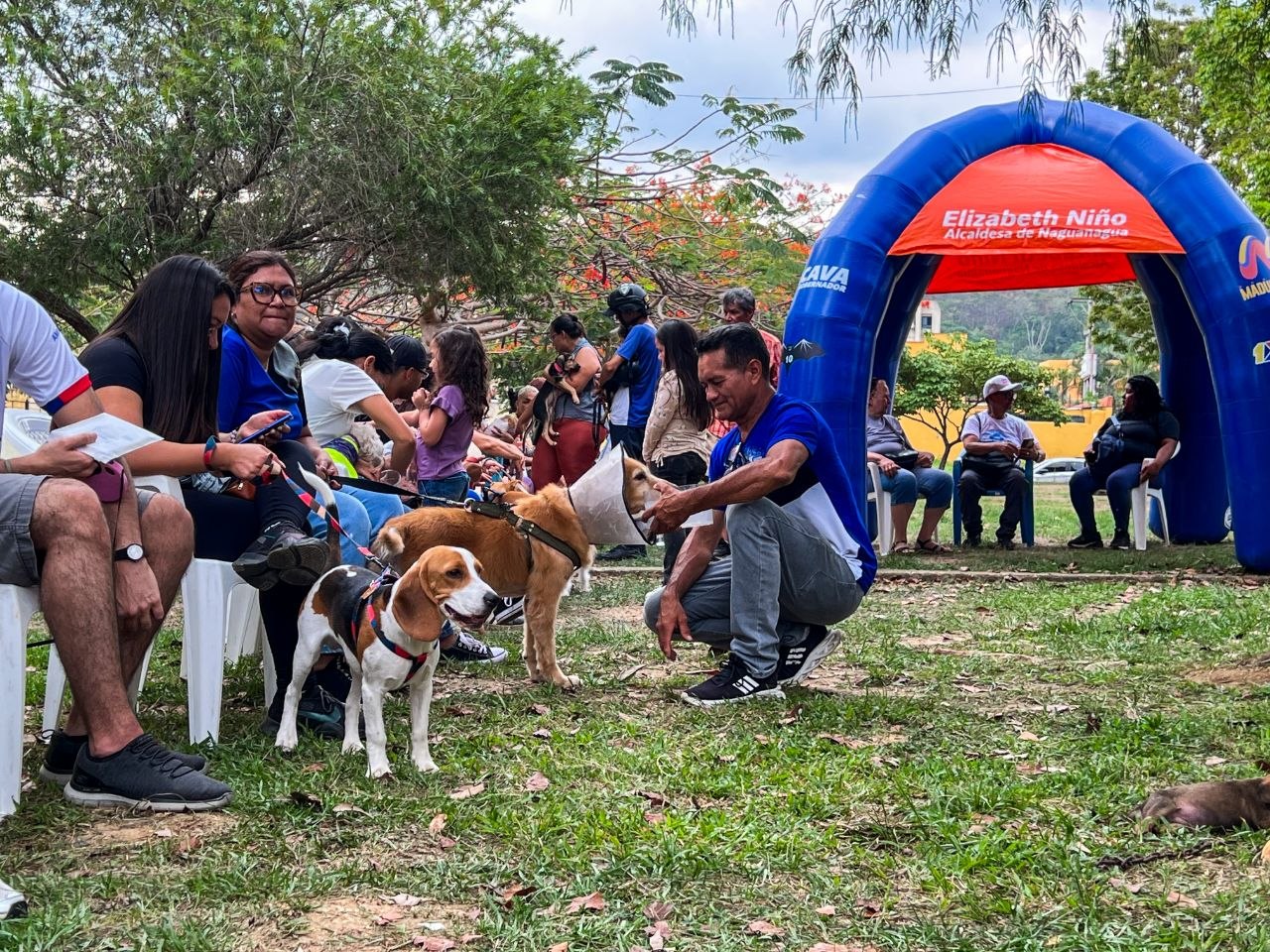 Gestión Elizabeth Niño brindó atención de salud a mascotas de Naguanagua (4) (1)