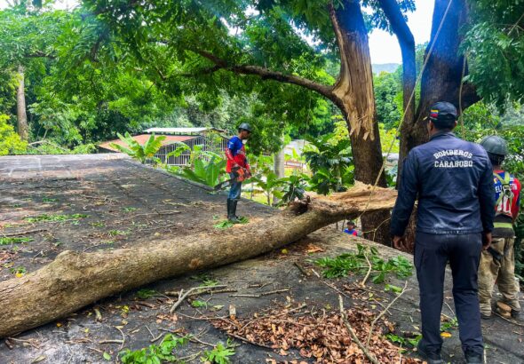 Gestión Elizabeth Niño desplegó cuadrillas para atender emergencias por lluvias y fuertes vientos en Naguanagua (1)