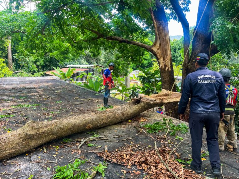 Gestión Elizabeth Niño desplegó cuadrillas para atender emergencias por lluvias y fuertes vientos en Naguanagua (1)