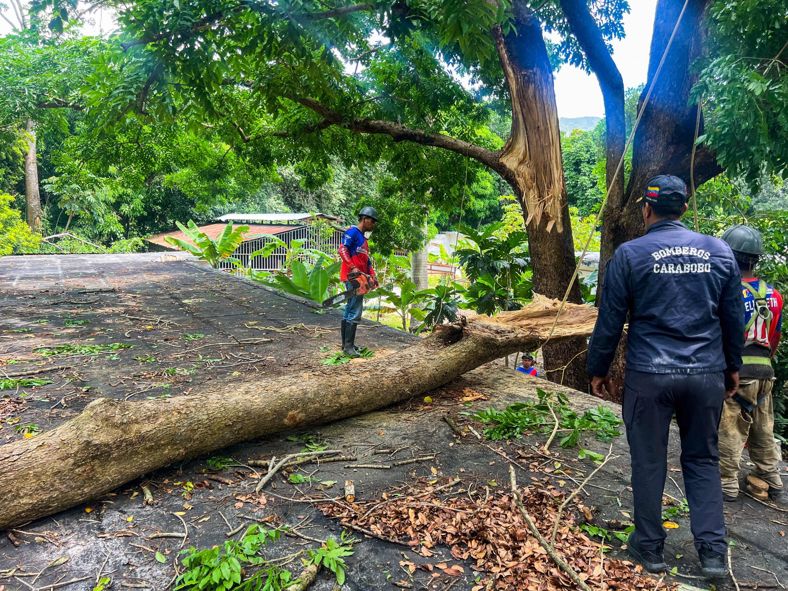 Gestión Elizabeth Niño desplegó cuadrillas para atender emergencias por lluvias y fuertes vientos en Naguanagua (1)